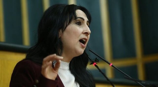 HDP&#039;den yeni hükümet için skandal sözler!