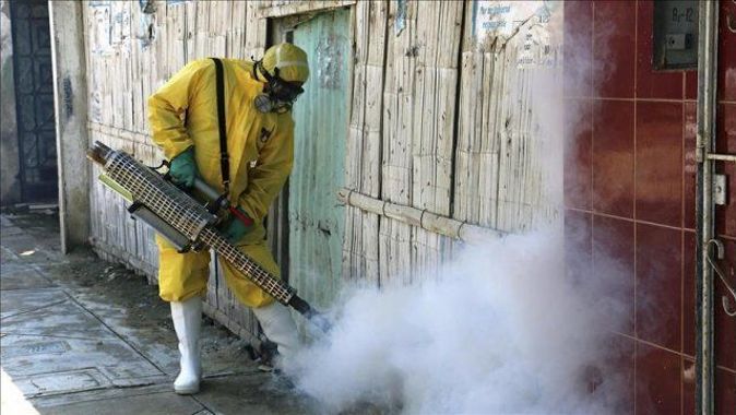 Zika virüsü daha da tehlikeli olabilir