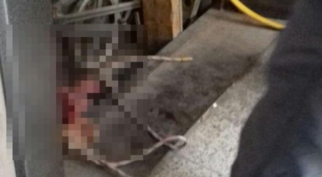 Asansörde mahsur kalan Suriyeli çocuk çıkmak isterken öldü