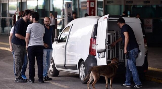 Atatürk Havalimanı’nda polis arabaları durdurup kimlik kontrolü yaptı