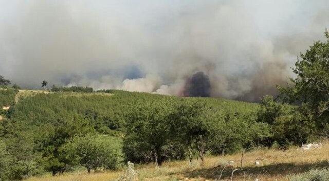 Edirne&#039;de ki orman yangını büyüyor! Yazlık alanlara doğru ilerliyor
