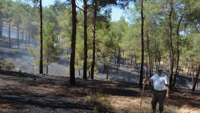Hatay&#039;da ikinci kez orman yangını