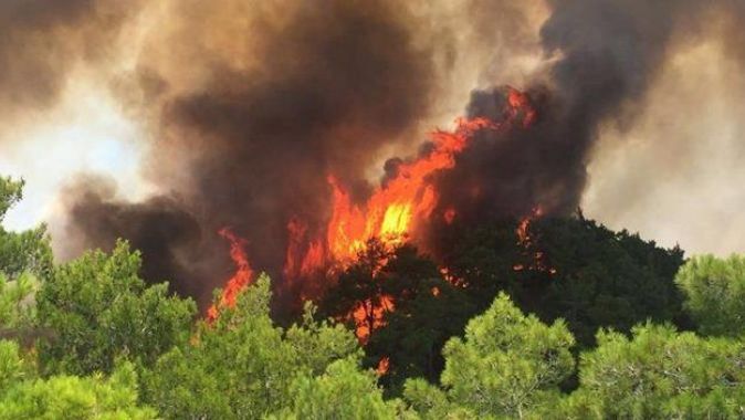 Manavgat&#039;ta büyük yangın çıktı
