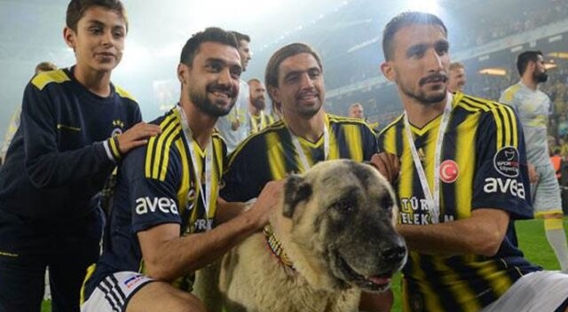 Mehmet Kayserispor&#039;da!