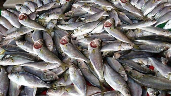 Ramazanda balık tüketimi arttı