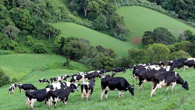 Uganda’dan, et üretimi için Türk şirkete dev arazi