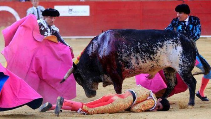 İspanya&#039;da boğa, matador Victor Barrio&#039;yu öldürdü