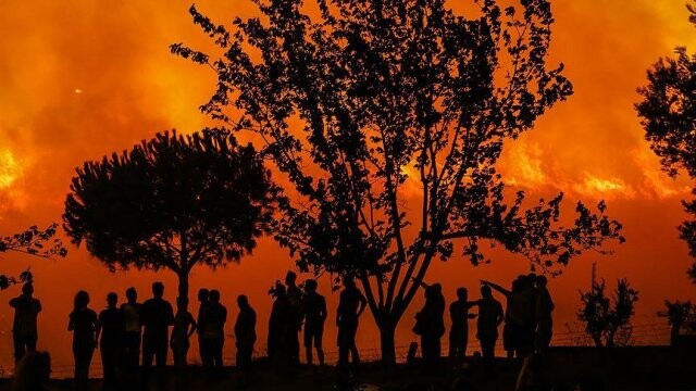 İzmir&#039;de ağaçlık alanda yangın