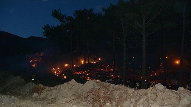 Kaz Dağları&#039;nda orman yangını