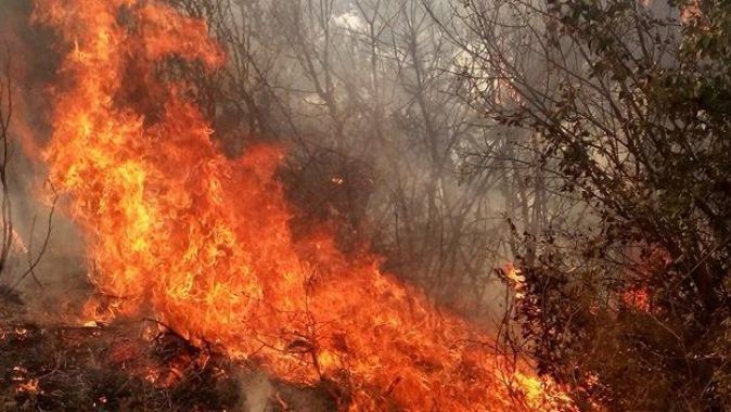 Bilecik&#039;teki orman yangını kontrol altına alındı