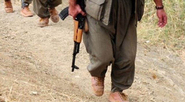 Şemdinli&#039;de 2 PKK&#039;lı öldürüldü