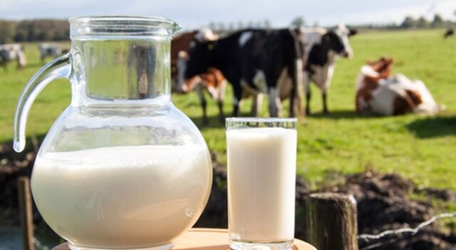 Süt üretimi yüzde 3.5 arttı