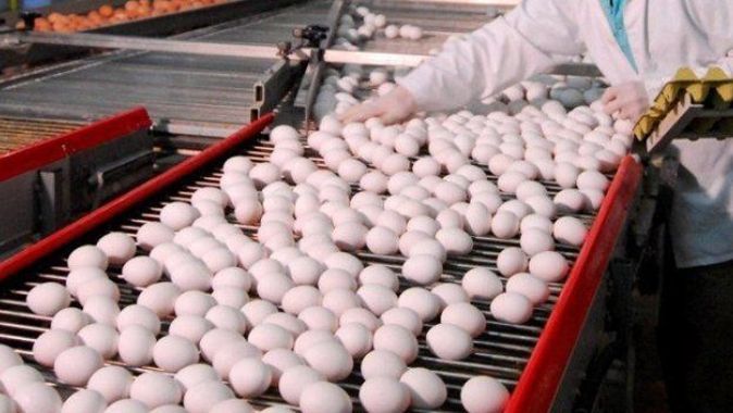 Yumurta üretimi Haziran’da azaldı