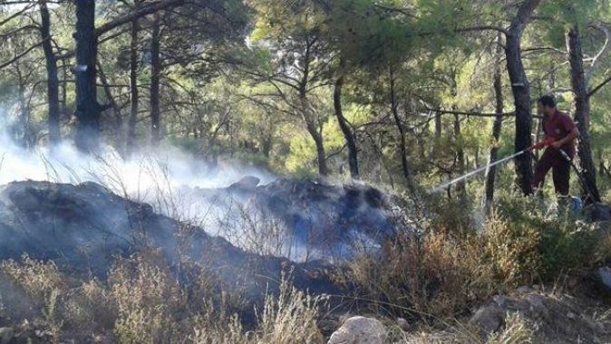 Balıkesir&#039;de korkutan orman yangını