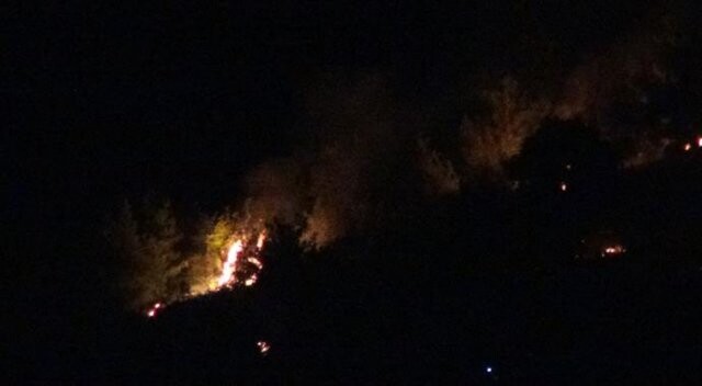 Adana&#039;da orman yangını büyüyor