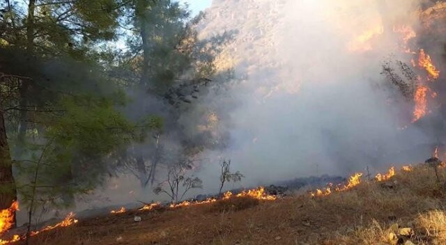 Ateşle oynayan öğrenciler ormanı yaktı