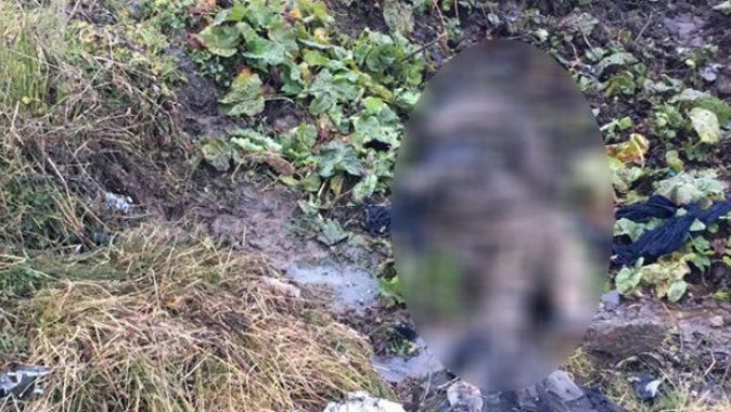Bitlis’te 4 teröristin cesedi bulundu
