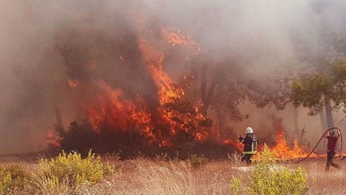 Manavgat&#039;ta orman yangını
