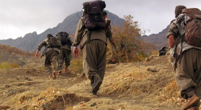 Yakalanan üst düzey PKK&#039;lı yönetici kim?