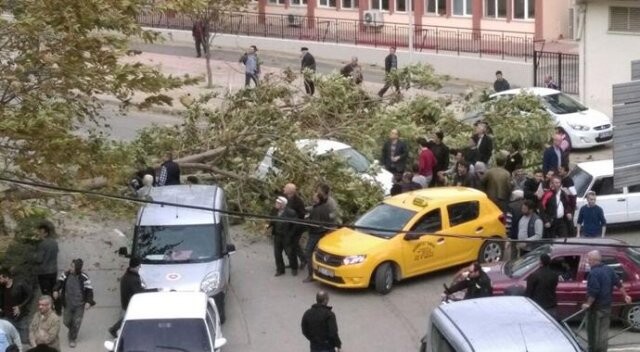 Bursa&#039;da fırtına ağaçları devirdi