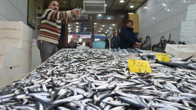 Karadenizli balıkçılar hamsi konusunda umutsuz