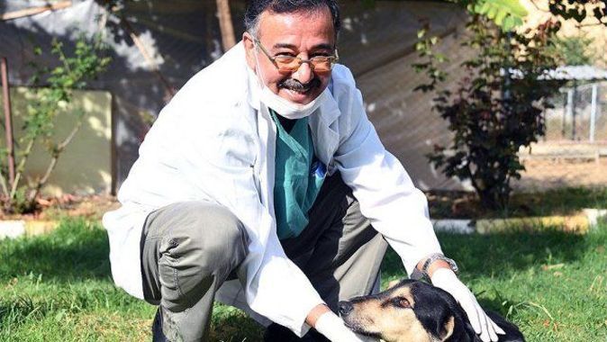 Köpeğin karnından 2 kilogram tümör çıkarıldı