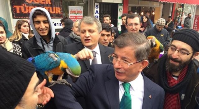 Davutoğlu&#039;nun papağan ile zor anları