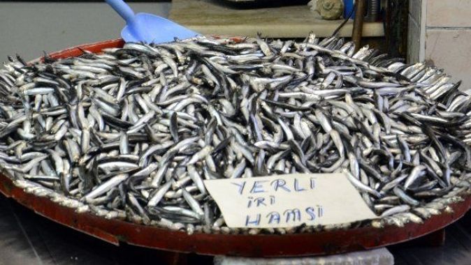 Balıkçılar tezgah kapattı: Hamsi rekora koşuyor