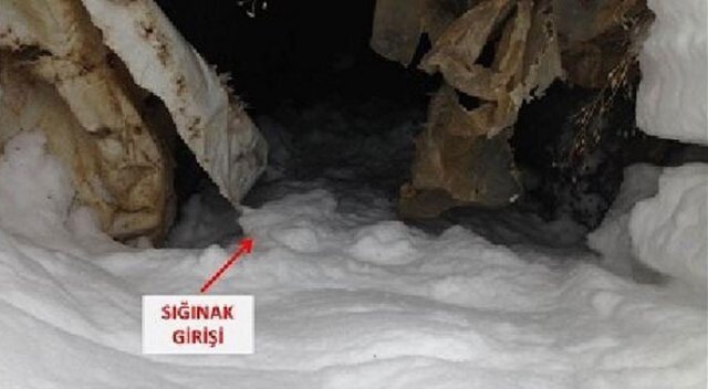 Bitlis&#039;te PKK sığınakları imha edildi