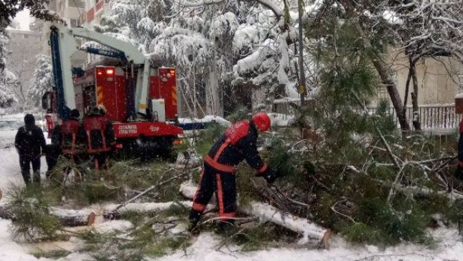 Kadıköy’de devrilen ağaç araçlara zarar verdi