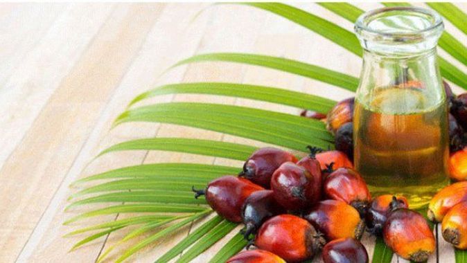 Palm Olein yağının cilde ve saça faydaları nelerdir?