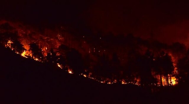 Trabzon Sürmene&#039;de orman yangını