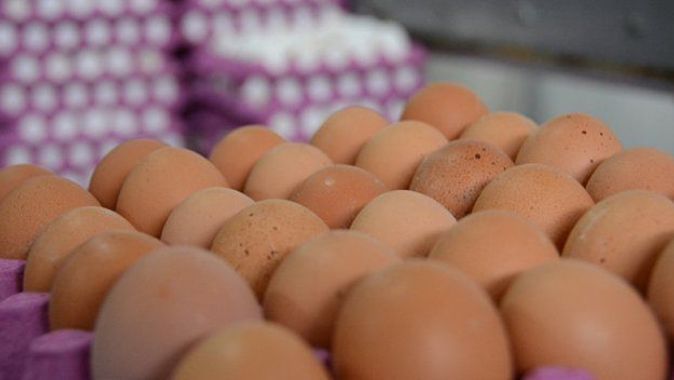 Yumurtanın kolisi üreticide 8,5 TL