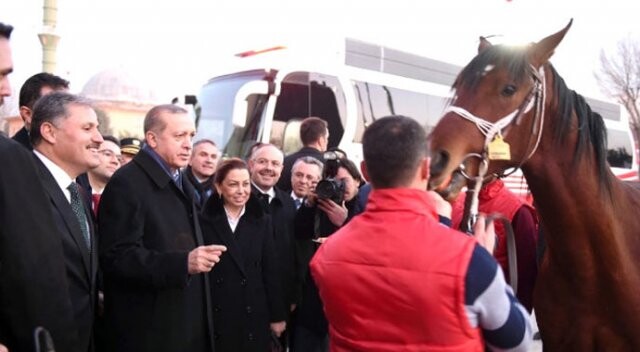 Cumhurbaşkanı Erdoğan&#039;a Malatya&#039;da &#039;tay&#039; sürprizi
