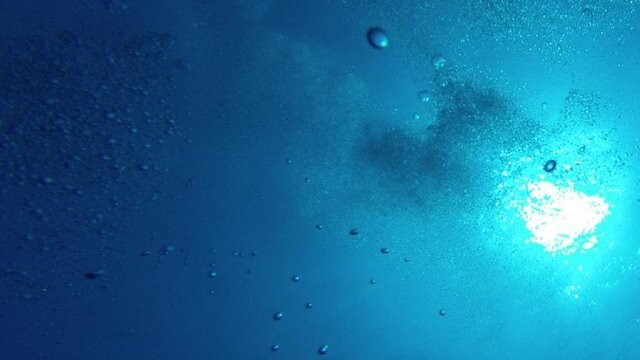 Okyanuslardaki oksijen 50 yılda yüzde 2 azaldı