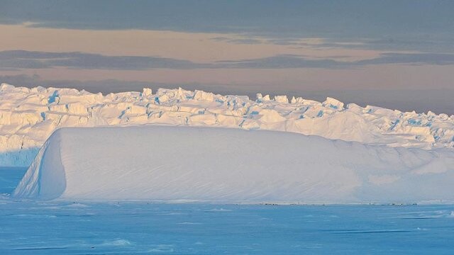 BM: Antarktika&#039;da sıcaklık 19,8 dereceye kadar çıkıyor
