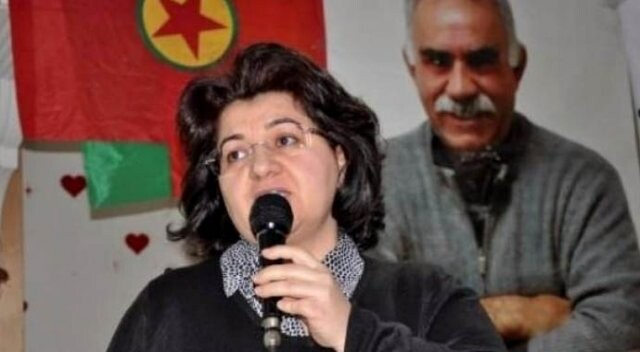 Emine Ayna Diyarbakır&#039;da gözaltına alındı