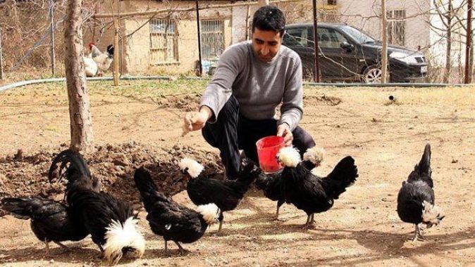 Beşiktaş sevgisi yetiştirdiği tavuklara da yansıdı