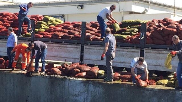 İzmir&#039;de 24 ton kaçak midyeye el konuldu