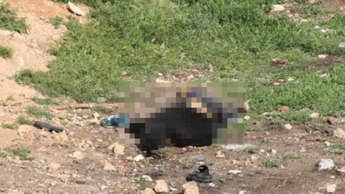 Şanlıurfa&#039;da köpek yüzünden kavga çıktı, 2 kişi öldü