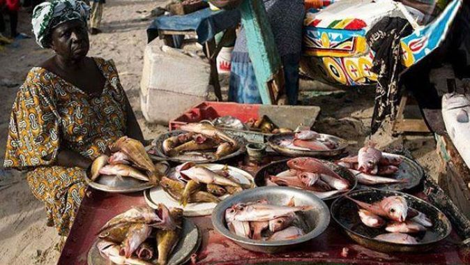 Afrika&#039;nın balığını beyaz adam yiyor