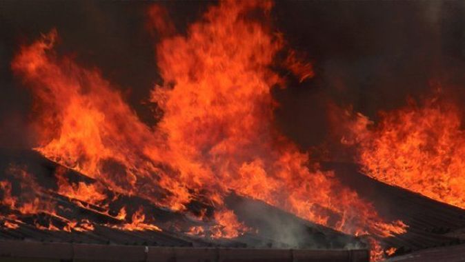 Birleşik Arap Emirlikleri’nin kurucusunun çiftliğinde yangın