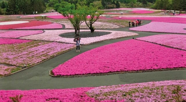 Dünyanın en renkli bahçesi