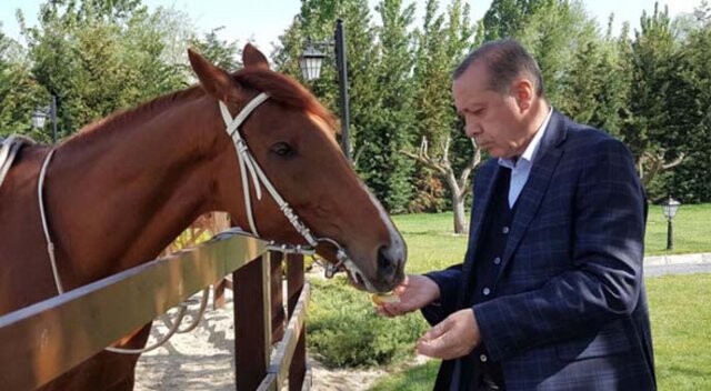 Erdoğan&#039;ın fotoğrafını paylaşıp, altına bu notu düştü!