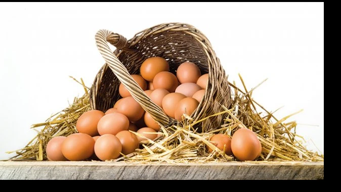 Kaçak yumurta organik oldu, 5 katına satılıyor