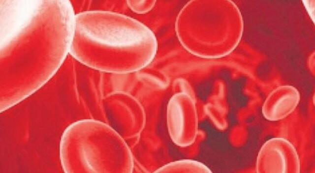 Tıpta devrim! Kök hücreyle sınırsız kan
