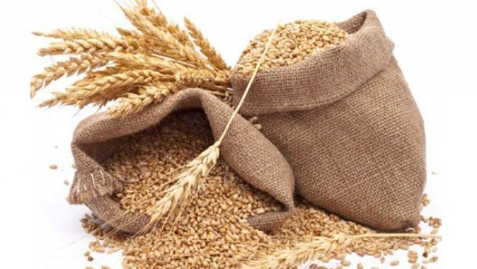 ‘Kaliteli’ ürün ihtiyacı  buğdayda dışa yöneltti