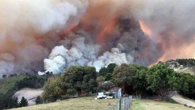 Güney Afrika&#039;da yangın: 200&#039;den fazla bina kül oldu