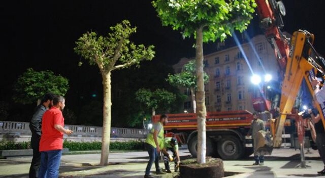 İBB, Taksim Meydanı için ağaçlandırma çalışmasını tamamladı