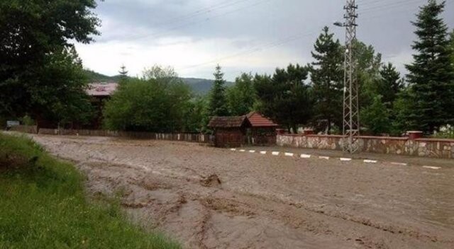 Kastamonu’da yağış tarım arazilerini vurdu